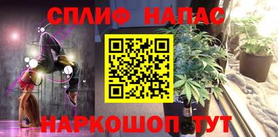 сатива Будённовск