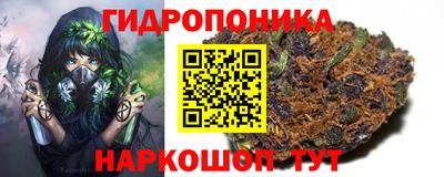 дмт Бузулук