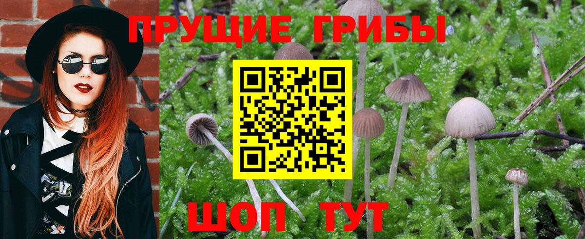 Псилоцибиновые грибы GOLDEN TEACHER  Вход с VPN  Сердобск 